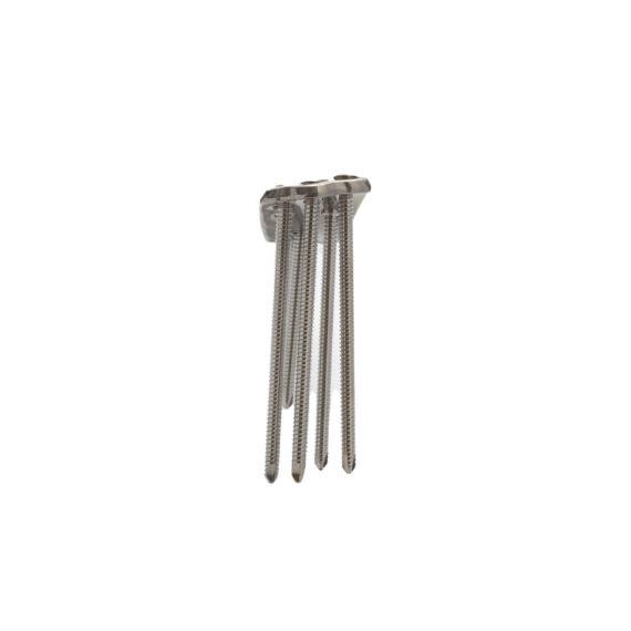 fémur distal loqteq 4.5