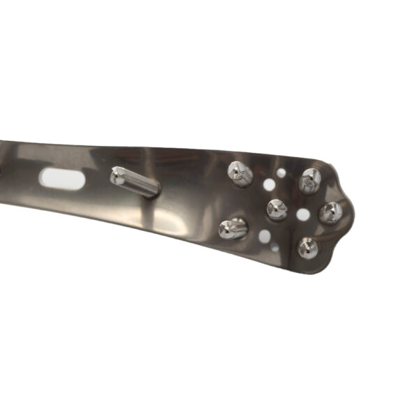 fémur distal loqteq 4.5