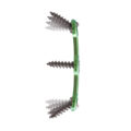 maxan columna cervical