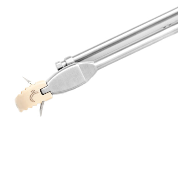 roi – c columna cervical