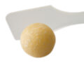 dbm (demineralized bone matrix)
