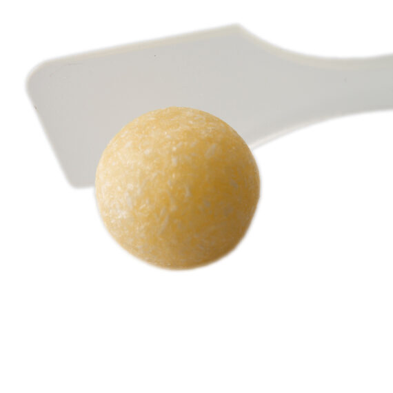 dbm (demineralized bone matrix)