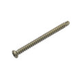 placa tibia distal
