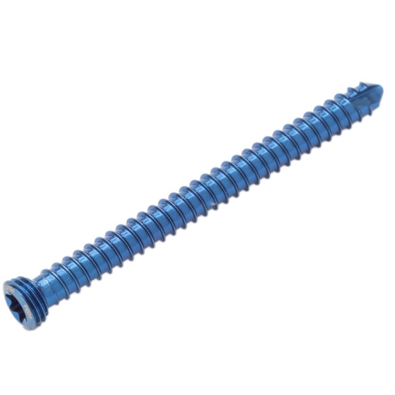 placa tibia distal