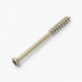 placa tibia distal