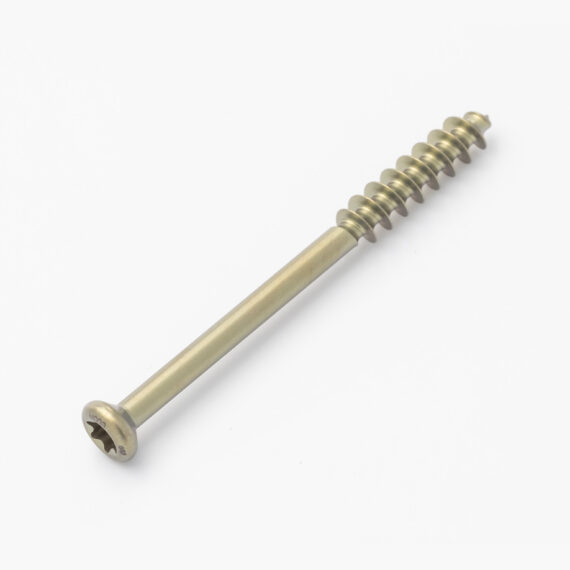 placa tibia distal