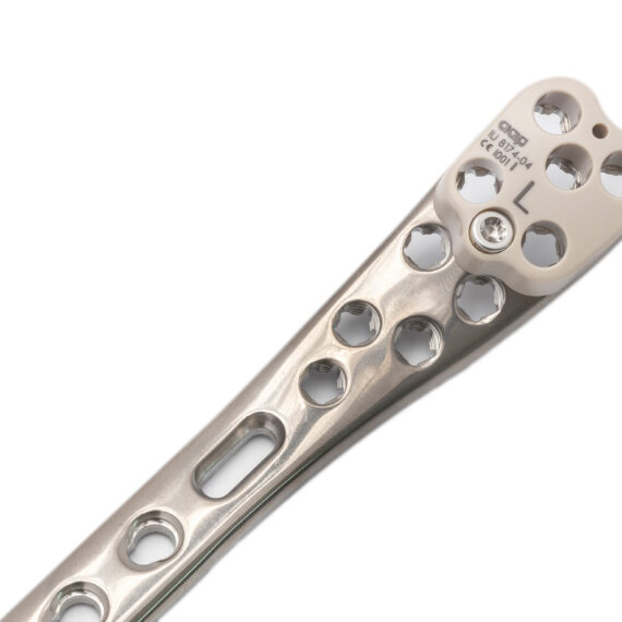 placa tibia distal