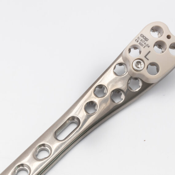 placa tibia distal
